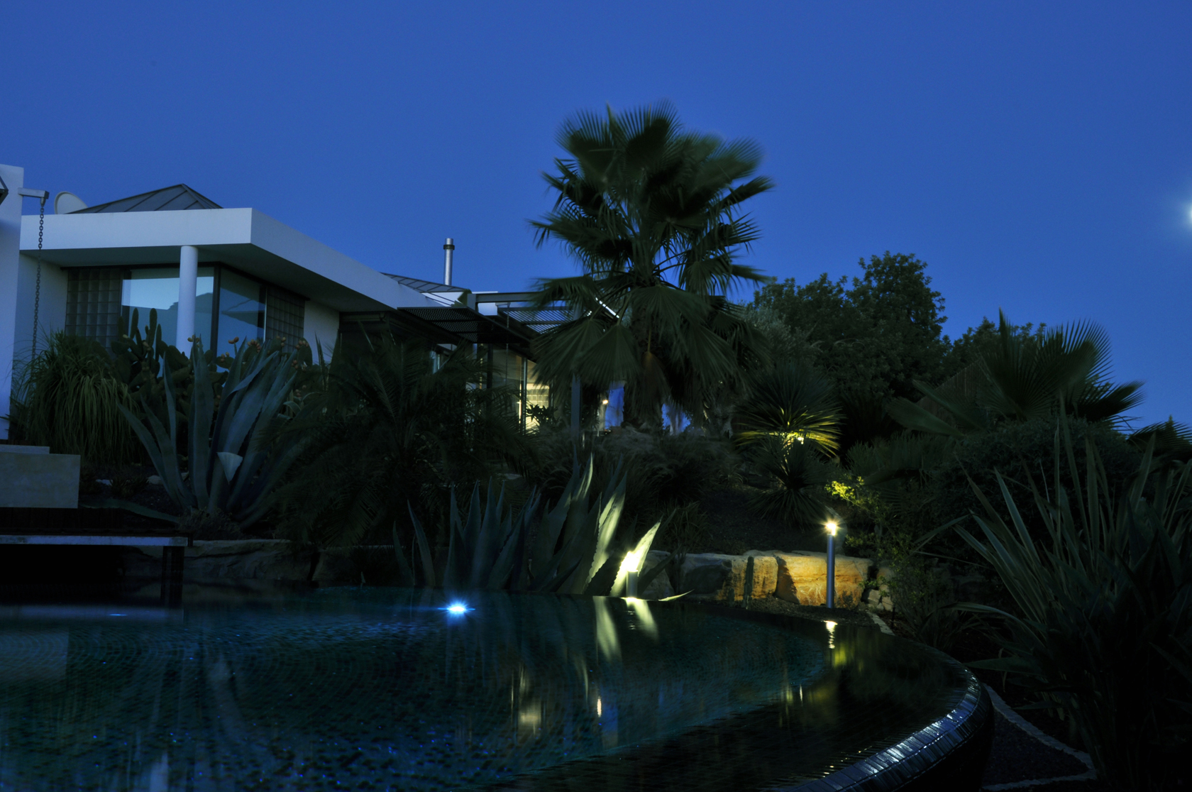 Exotic Garden 