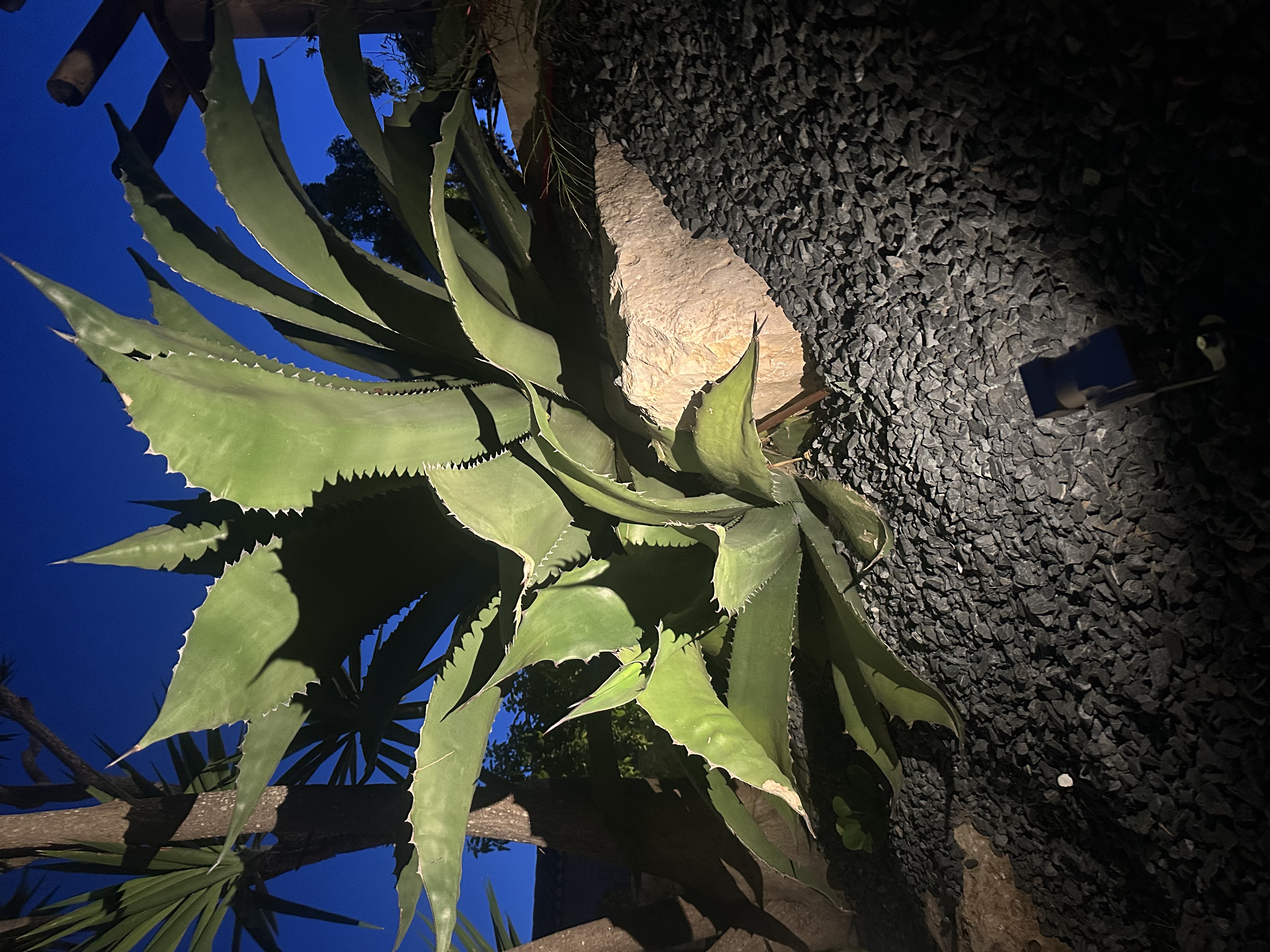 Garden Projectors